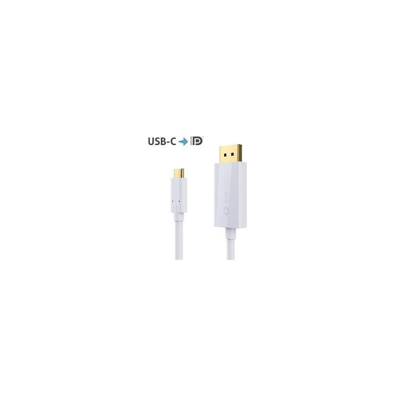 Câble DisplayPort-USB-C 1m