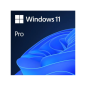 Windows 11 Pro