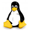Vollständige Migration zu Linux