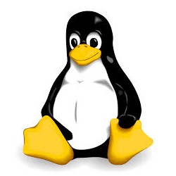 Installation de Linux