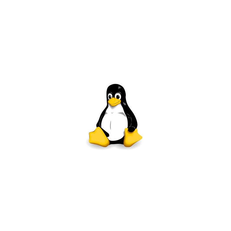 Linux installieren